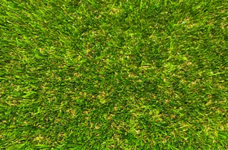 Gazon synthétique ALTEA 57 mm – Gamme Confort proposé par Maison du Gazon.com spécialiste de la pose de gazon synthétique près d’Agde