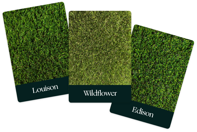 Gamme de gazon synthétique : Louison, Wildflower, Edison