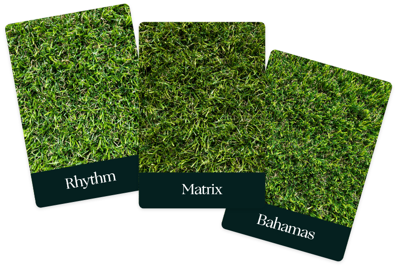 Gamme de gazon synthétique : Rhythm, Matrix, Bahamas