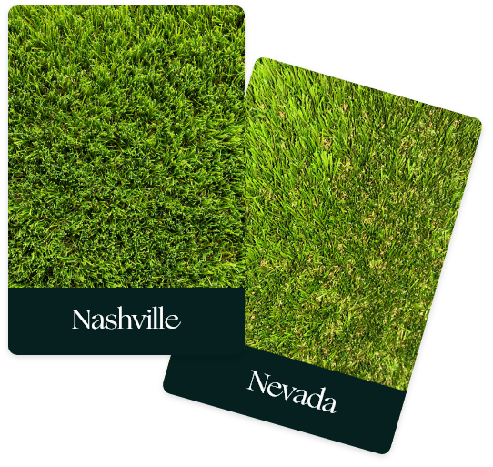 Gamme de gazon synthétique : Nashville, Nevada