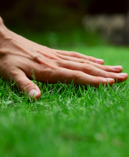 Spécialiste du gazon synthétique près de Béziers, Maison du Gazon.com accompagne particuliers et professionnels dans le choix du modèle le plus adapté à leur projet