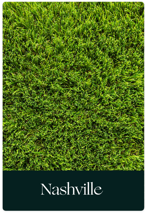 Gazon synthétique NASHVILLE 50 mm – Gamme Signature proposé par Maison du Gazon.com spécialiste de la pose de gazon synthétique dans l’Hérault