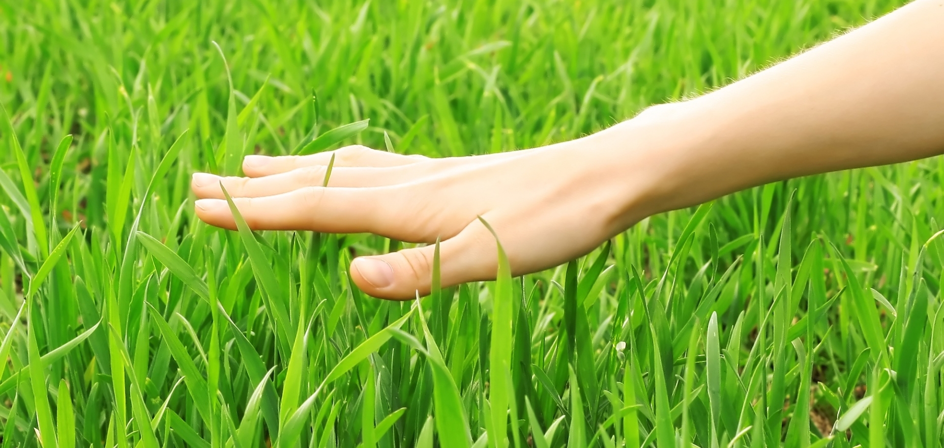 Nos gazons synthétiques Premium durable dans l’Hérault